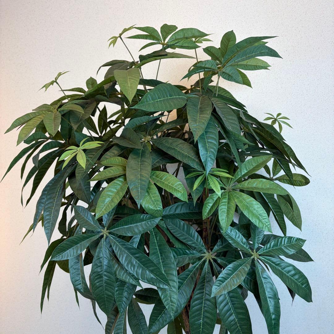 送料無料 大型フェイクグリーン 人工観葉植物 光触媒 170cm パキラ