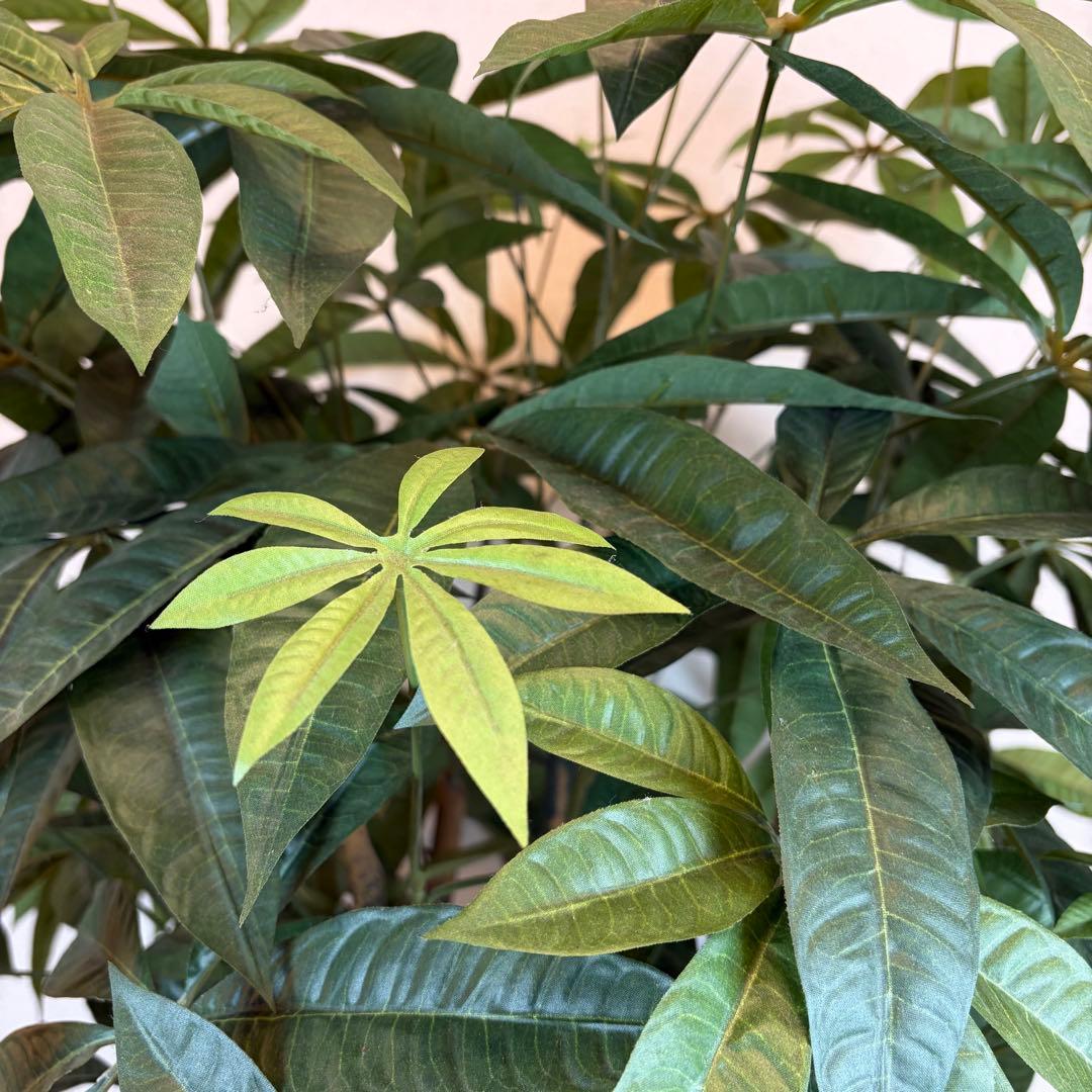 送料無料 大型フェイクグリーン 人工観葉植物 光触媒 170cm パキラ