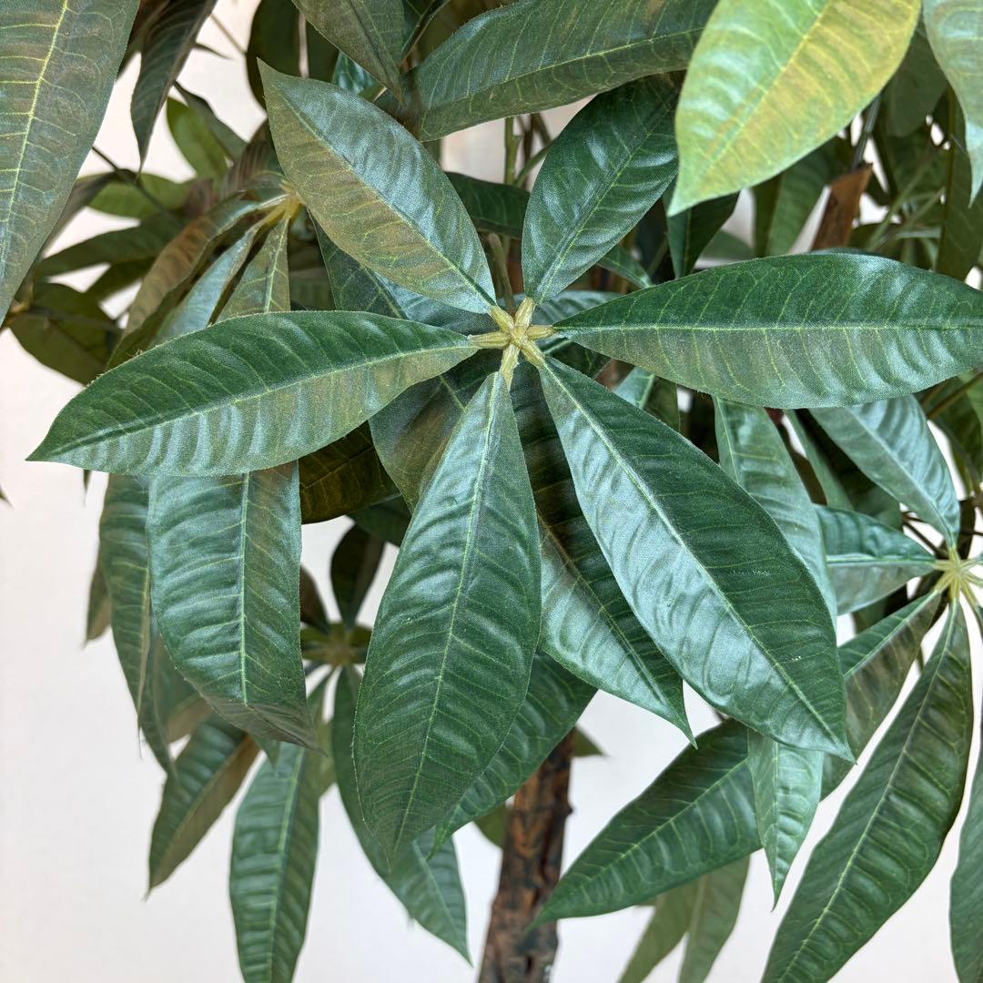 送料無料 大型フェイクグリーン 人工観葉植物 光触媒 170cm パキラ