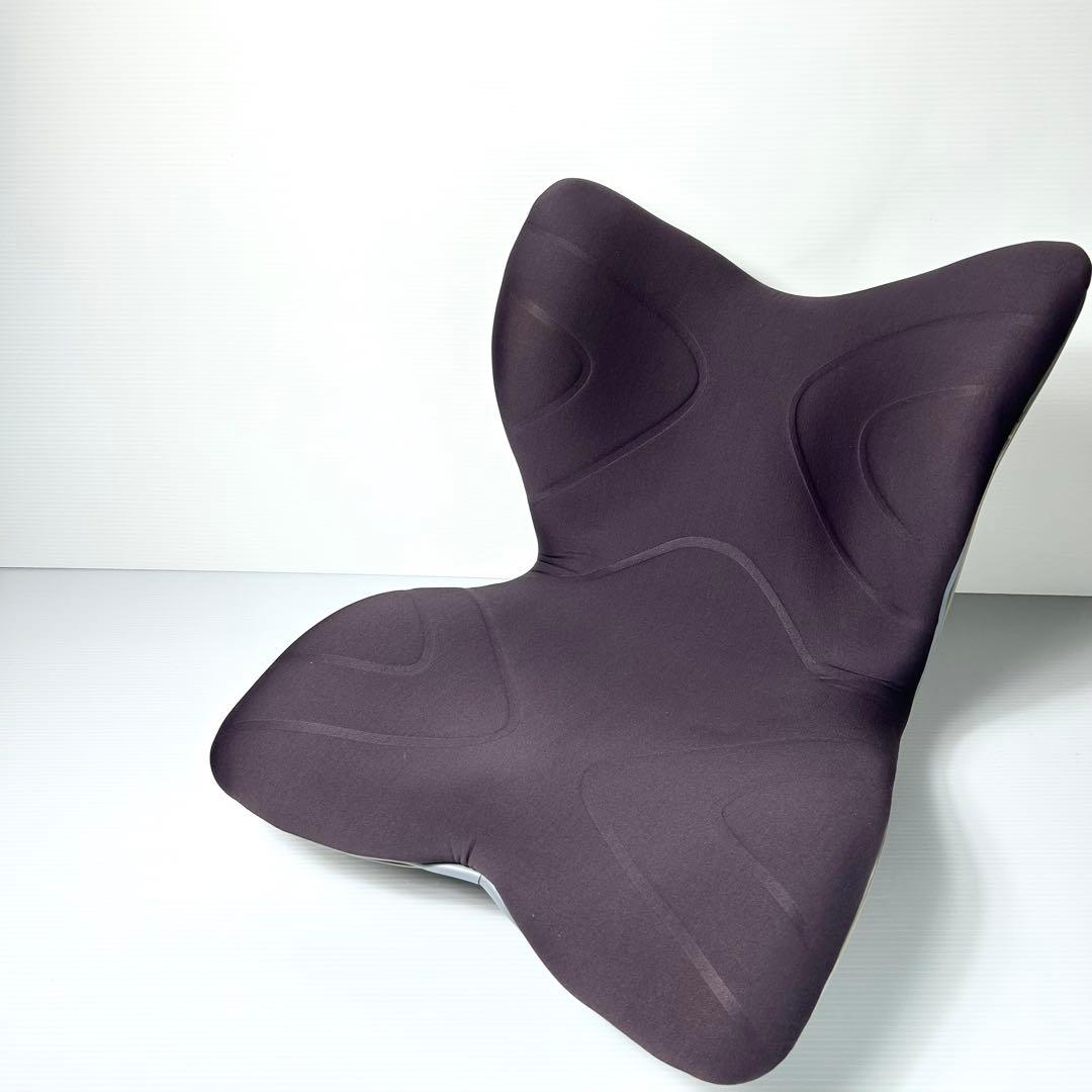 綺麗☆MTG Style PREMIUM スタイル プレミアム 骨盤 姿勢矯正