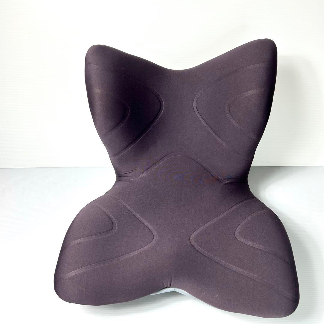 綺麗☆MTG Style PREMIUM スタイル プレミアム 骨盤 姿勢矯正