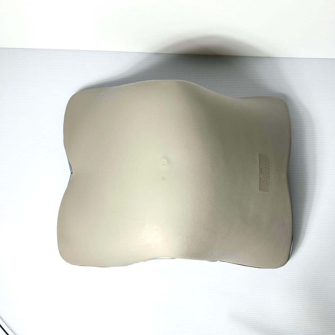 綺麗☆MTG Style PREMIUM スタイル プレミアム 骨盤 姿勢矯正