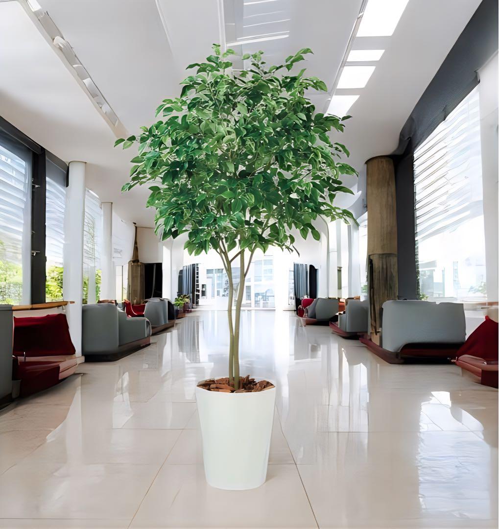 光触媒　人工観葉植物　ウォール　フェイクグリーン　ベンジャミンワイド200FST