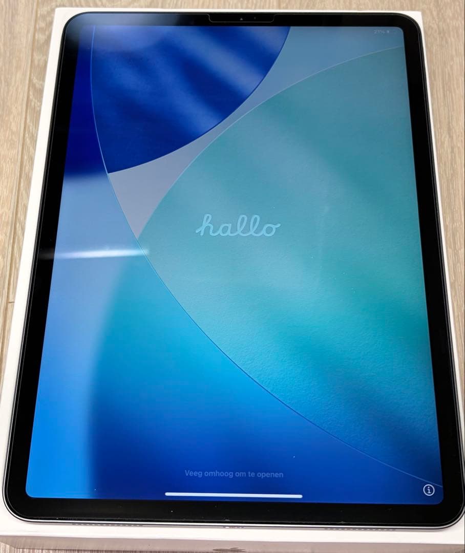 11インチ iPad Pro（第2世代） 256GB Wi-Fiモデル