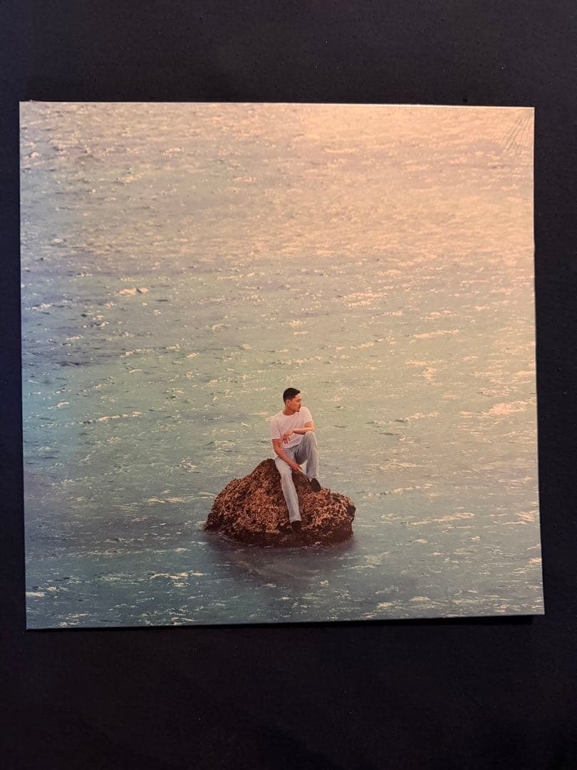 【新品未開封】　【値下げ交渉可】 Yo-Sea Sea of Love レコード