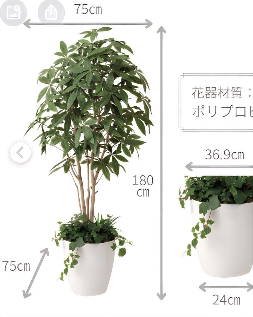 光触媒　人工観葉植物　ウォールグリーン　フェイクグリーン　パキラポット1.8m