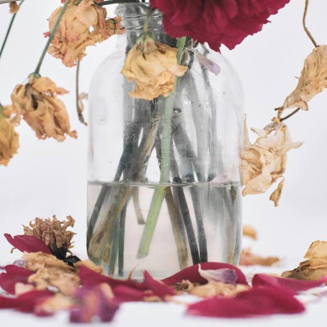 唾奇 Camellia LP レコード