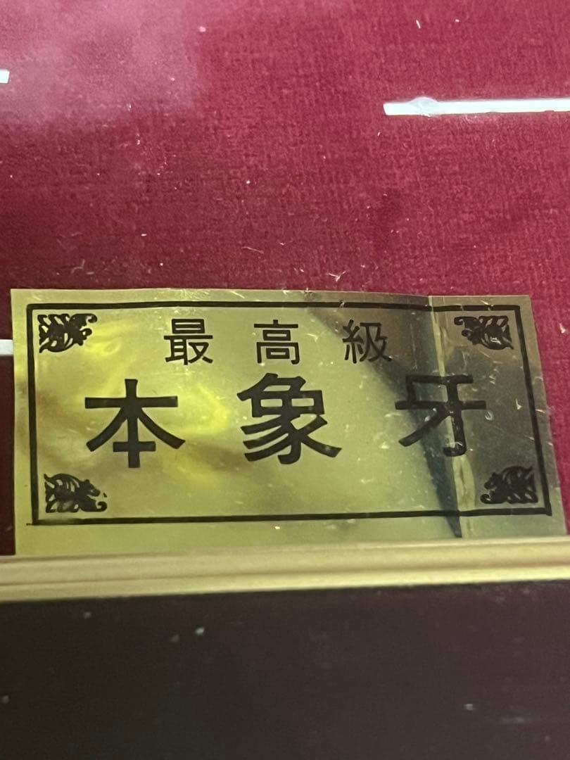 素晴らしい美品　美術　彫刻画　錦鯉　本象牙　永象作　額縁サイズ41X39センチ位