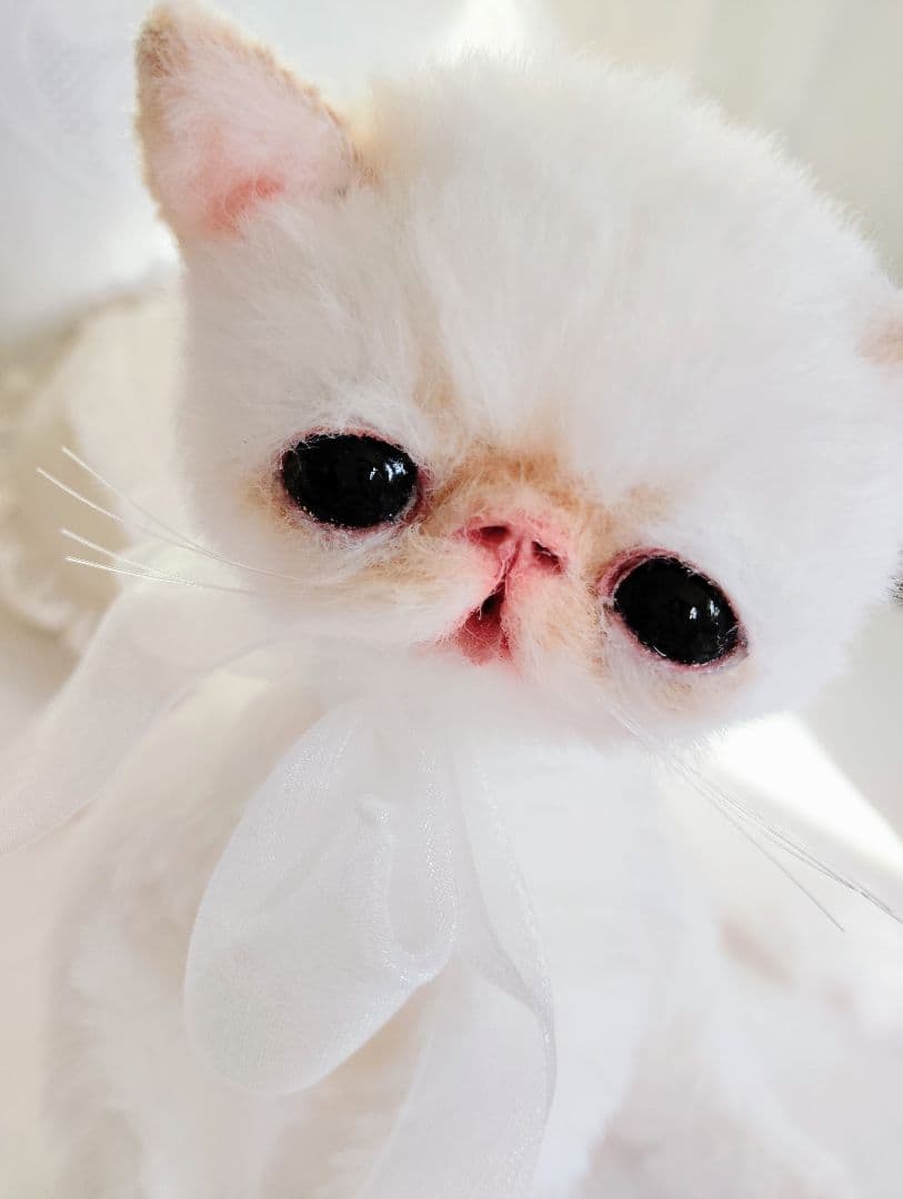 エキゾチック子猫ちゃん♡くりりんオメメ♡アートドール♡ぬいぐるみ♡