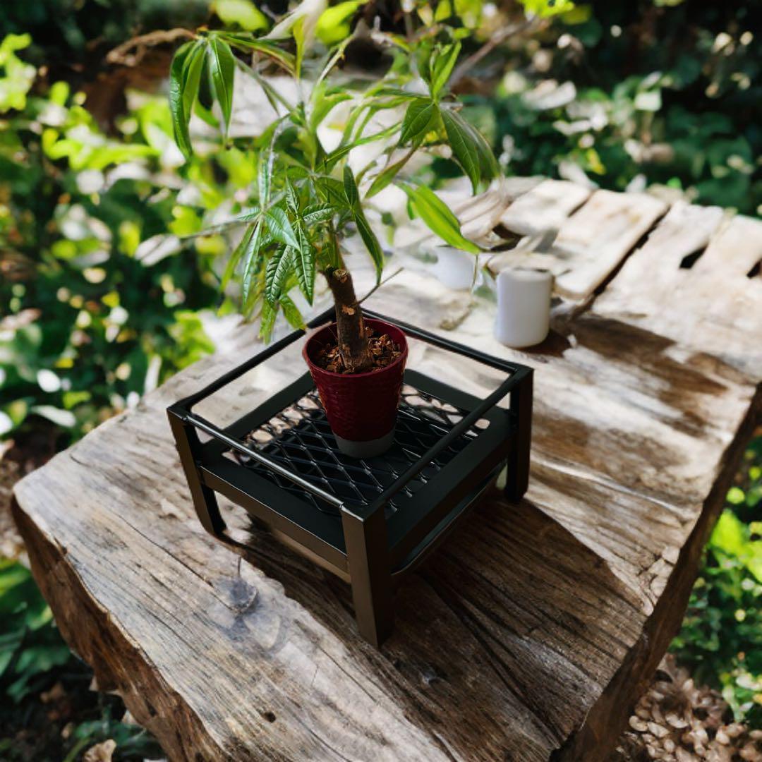 植物棚　シェルフ　5号鉢　受け皿　プランタラック　アガペ　コーデックス