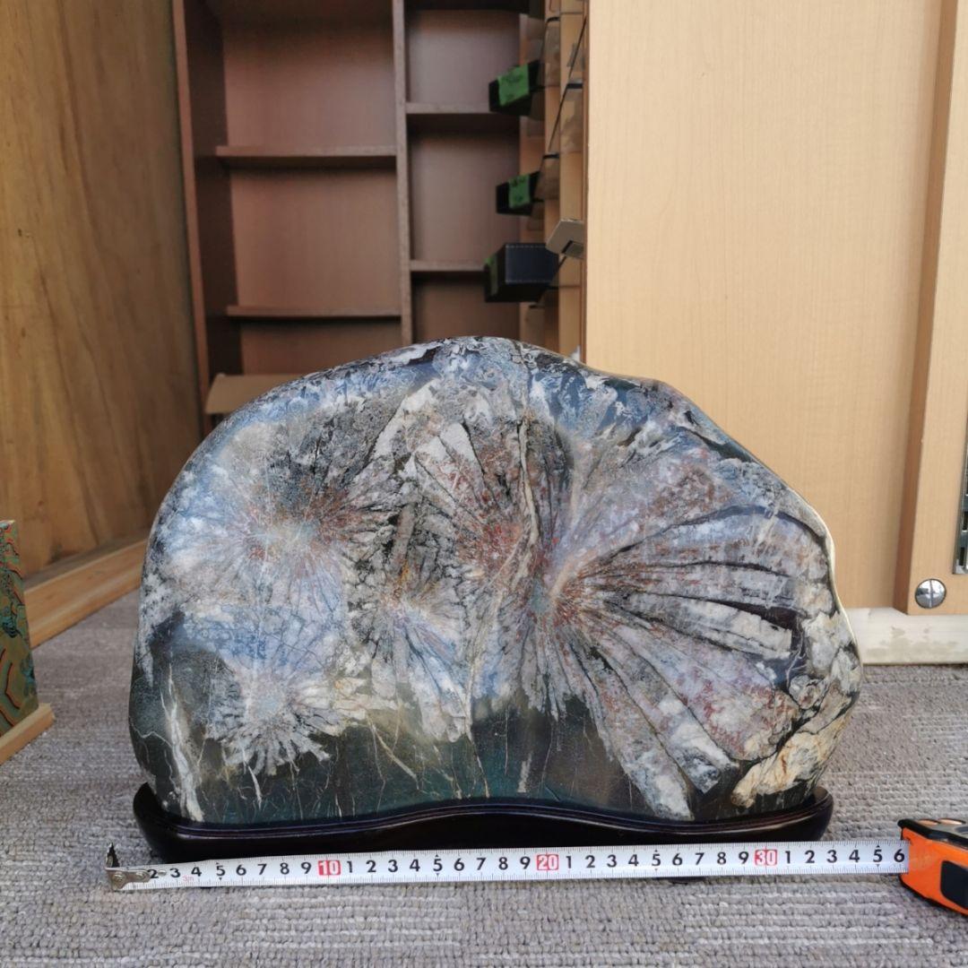 根尾谷産　菊花石　11.2キロ　鑑賞石　石　置物　オブジェ　インテリア　盆石