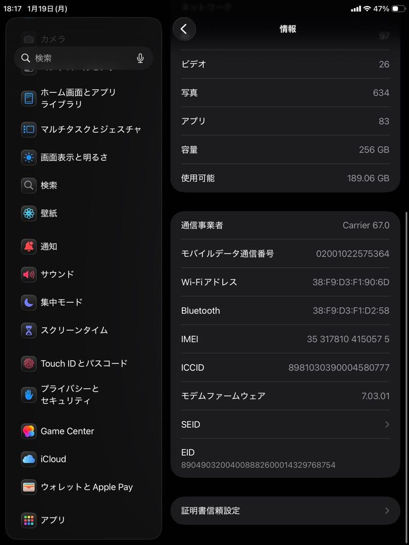 iPad mini 第5世代 256GB Cellular モデル ※ペン付き