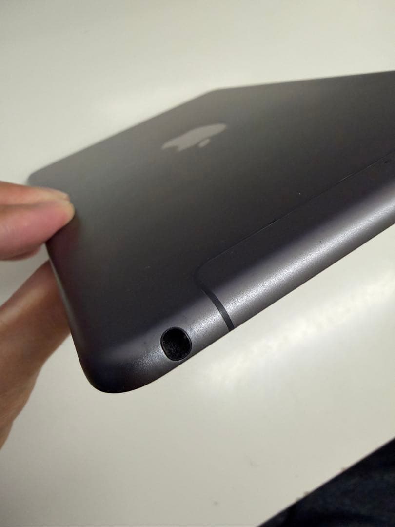 iPad mini 第5世代 256GB Cellular モデル ※ペン付き