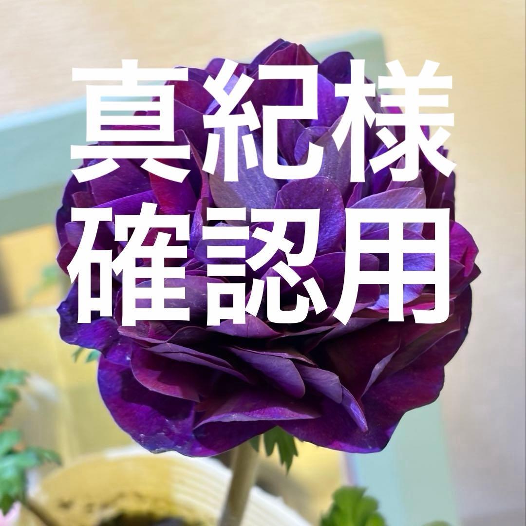 真紀様　確認用　レバンテ　紫系