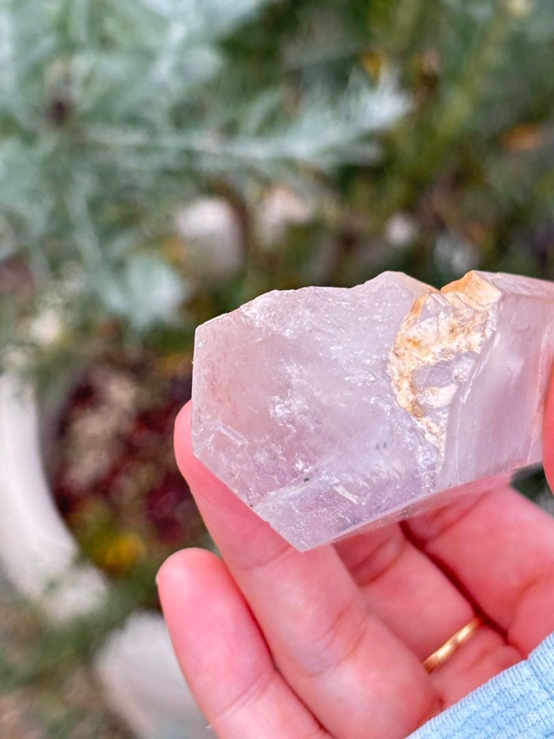 虹　スーパーセブン　成長痕　特別　きらきら　極上