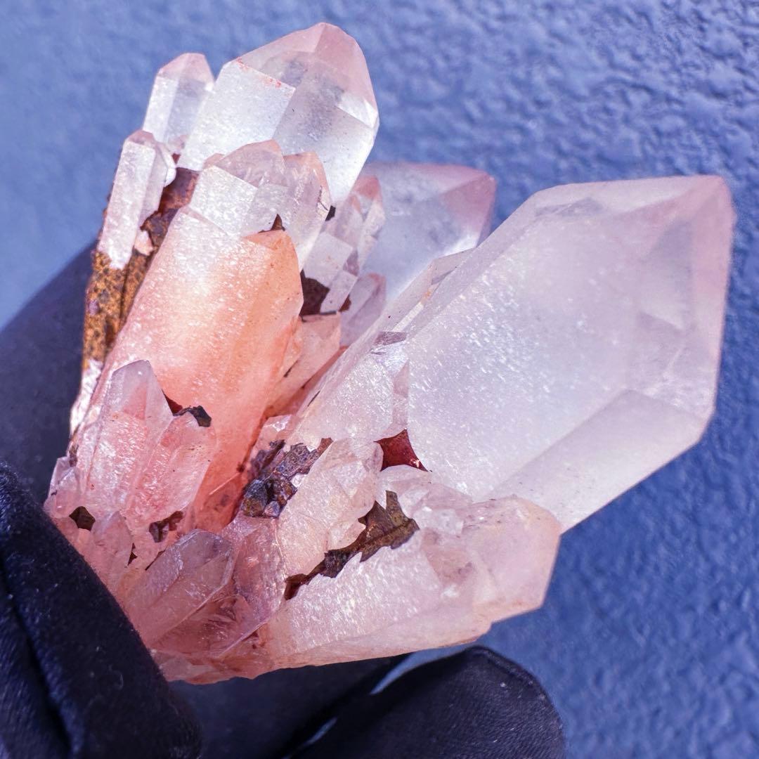 爆アレ❗️可愛いピンク♡超綺麗マダガスカル産パイナップルピンククラスターA1468