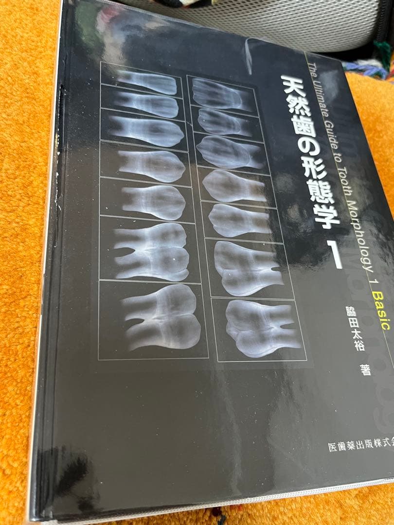 天然歯の形態学 1【裁断済】