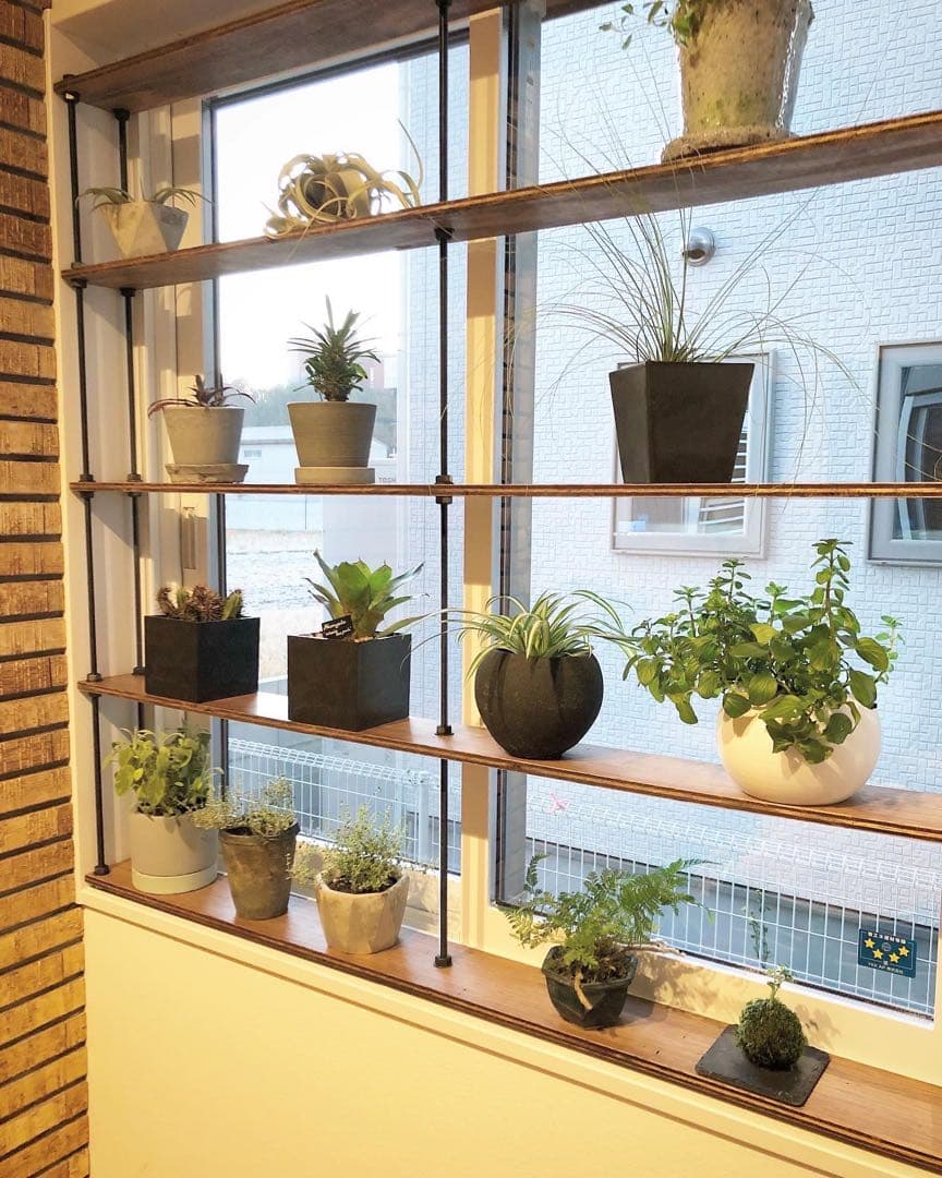 TVで紹介！窓枠における収納棚！tasty ウッドラック 壁面収納ラック