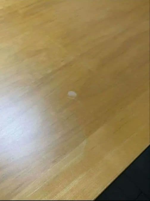 つみんです。