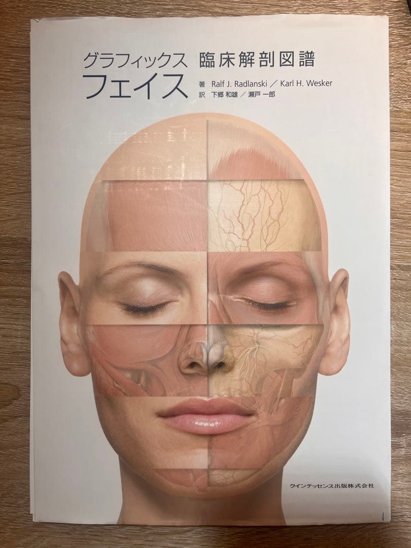 （裁断済み）グラフィックスフェイス : 臨床解剖図譜