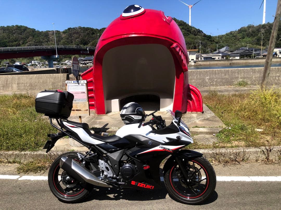 gsx250r カウル一式 ホワイト/ブラック