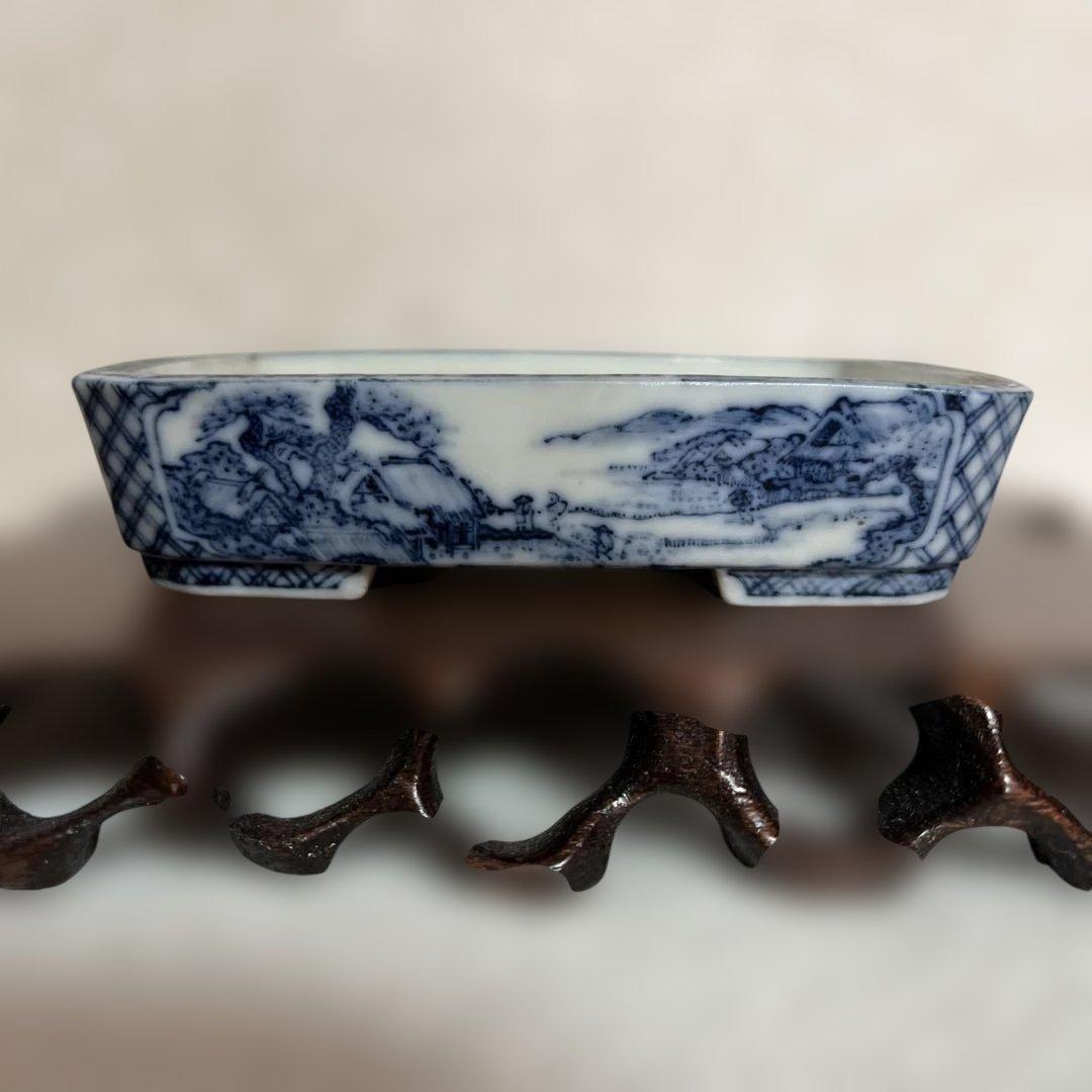 盆栽鉢　初期はるよし　春嘉