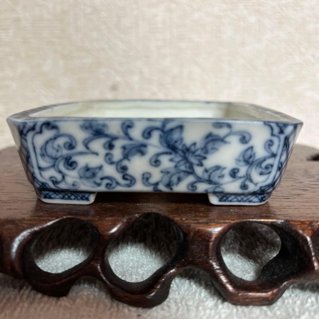 盆栽鉢　初期はるよし　春嘉