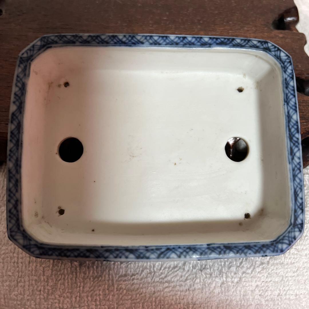 盆栽鉢　初期はるよし　春嘉