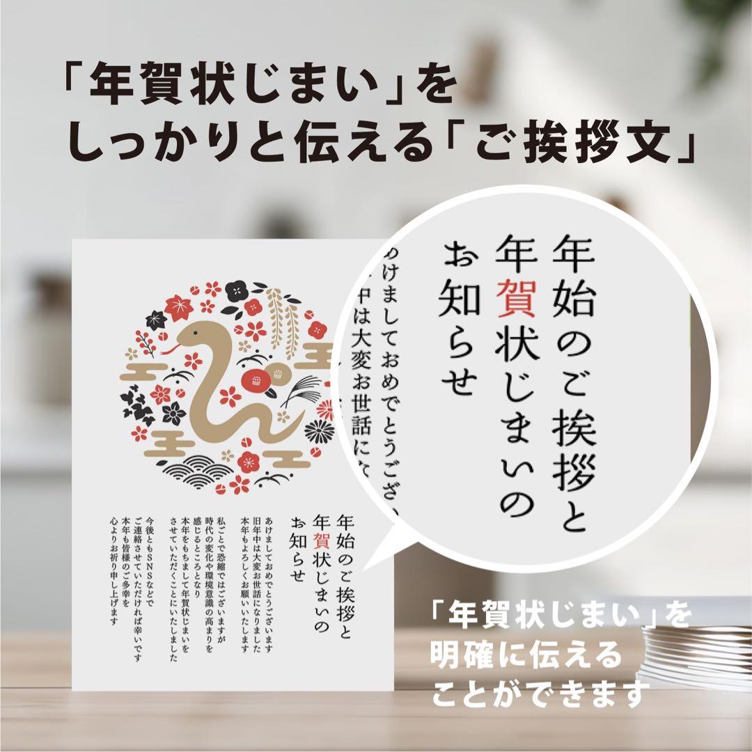 ⭐️ 年賀状じまい葉書 私製10枚入り ヘビ 巳年
