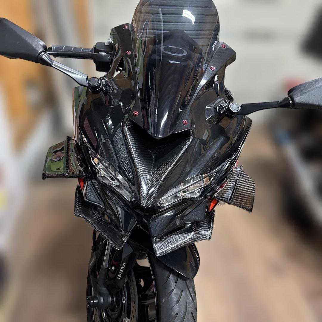 専用　カワサキZX25 R用サイドカーボンウイング