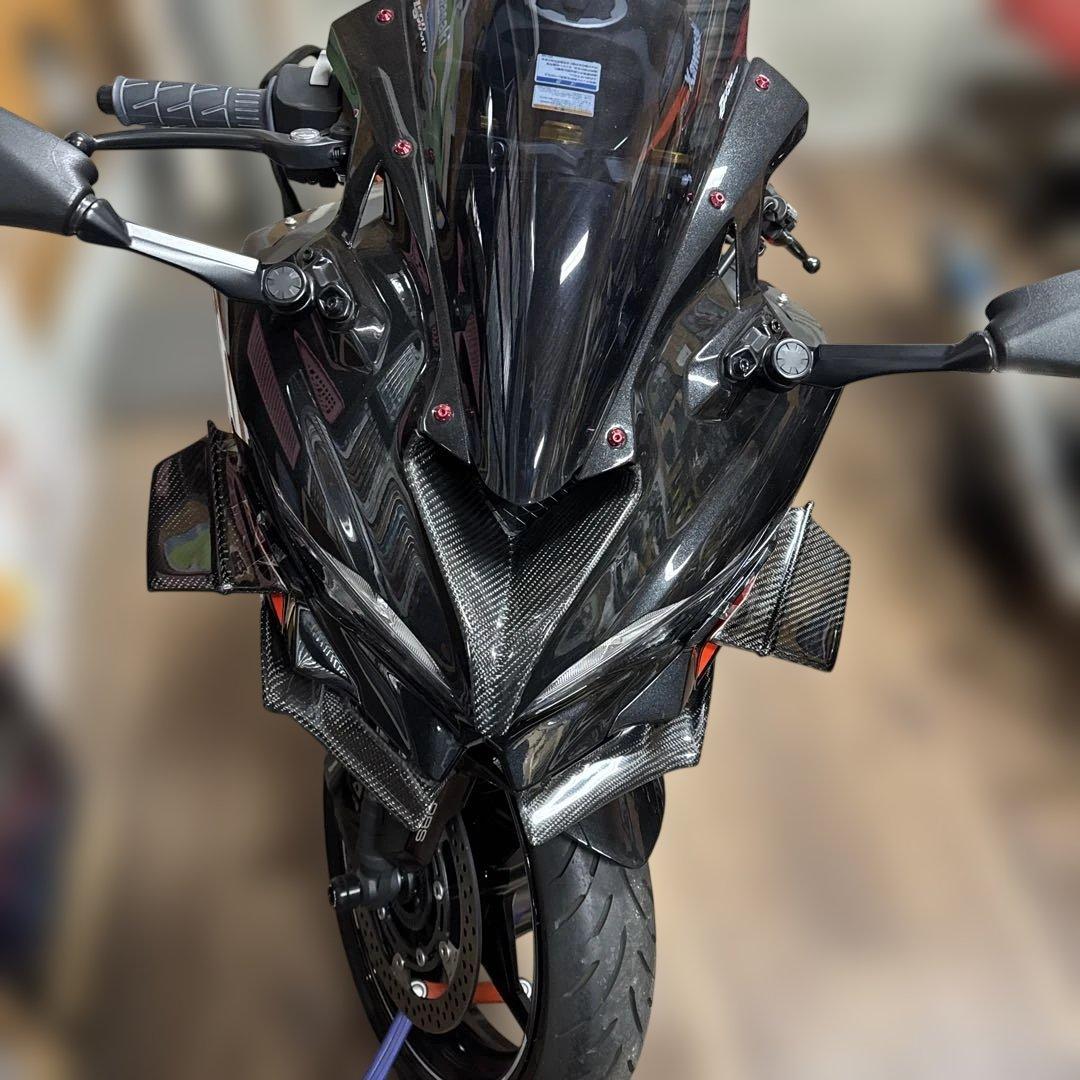 専用　カワサキZX25 R用サイドカーボンウイング