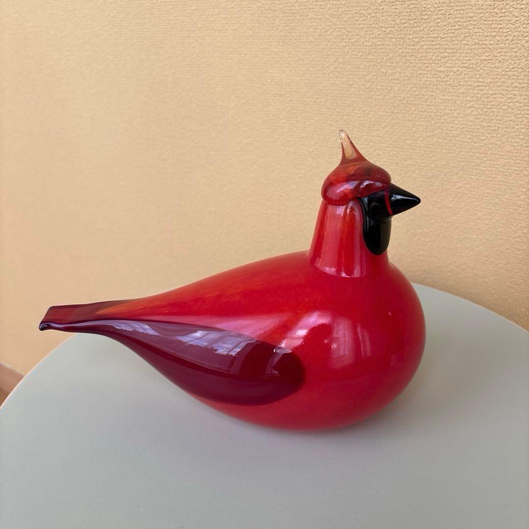 イッタラ オイバトイッカ バード レッドカーディナルヌータヤルヴィ