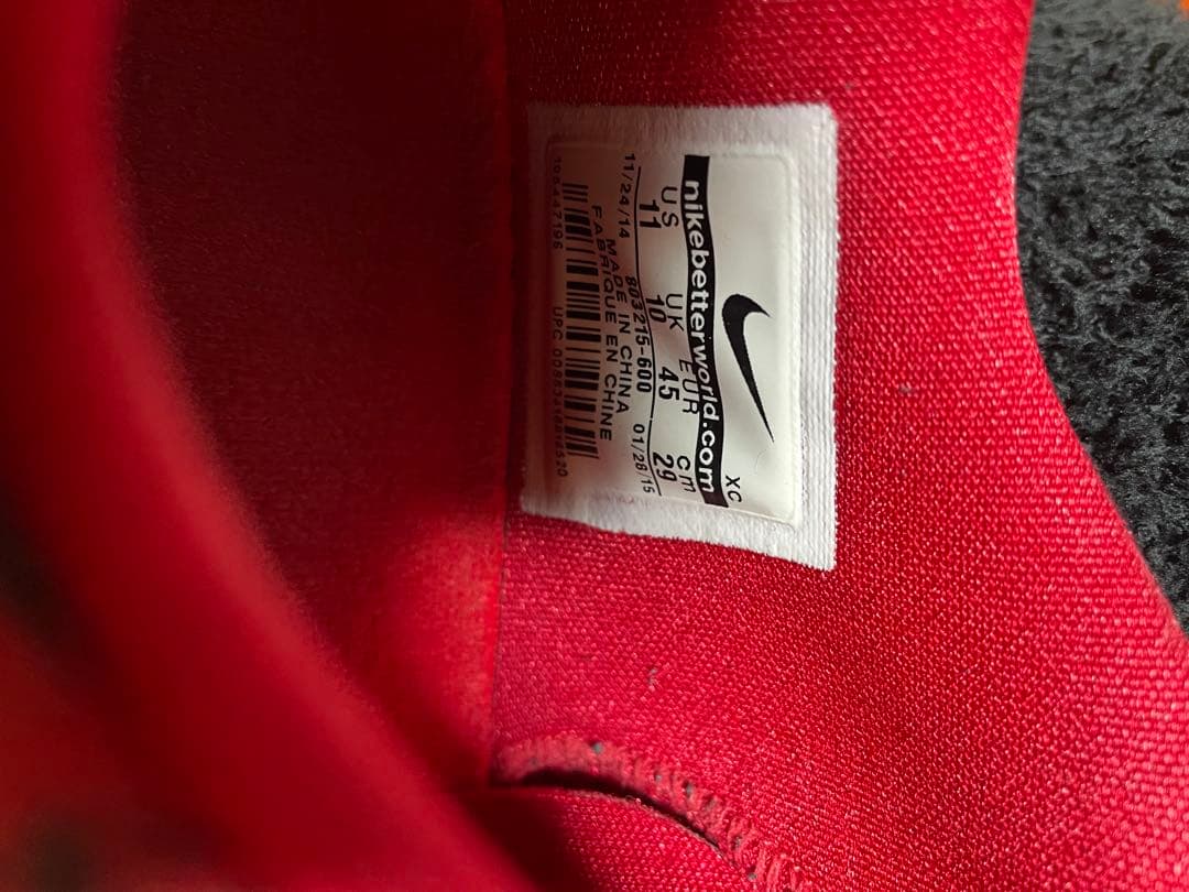 日本未発売NIKE HYPERCHASE PE