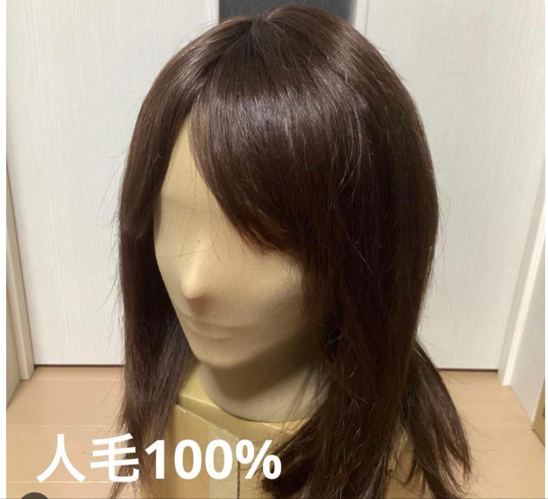 【chiiおまとめ】PINKAGE フルウィッグ　人毛100%セミロング