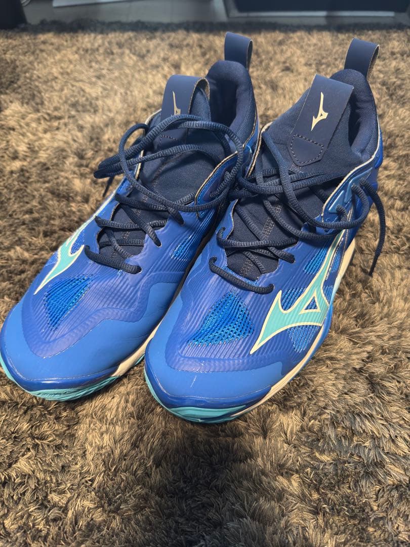 Mizuno ウェーブモーメンタム 3 Mid 29cm