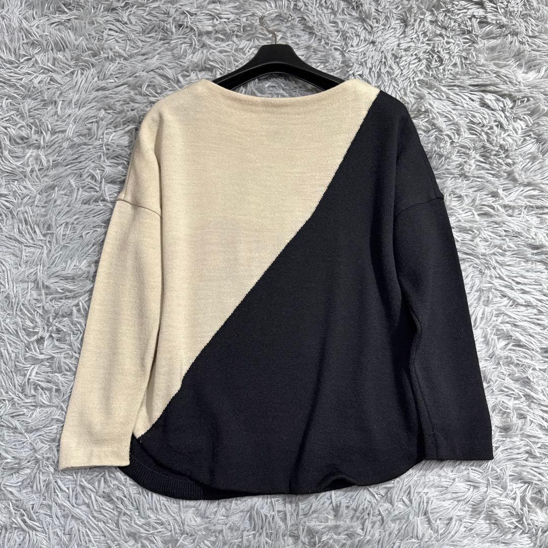 美品✨22AW 現行品 シビラ サークルインターシャアートデザインニット M