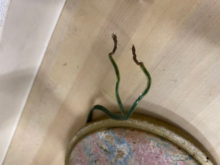 フロアライト　電気スタンド　アンティーク