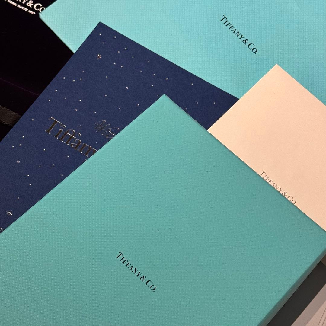 Tiffany & Co. ハードウェア　スモールリンクネックレス