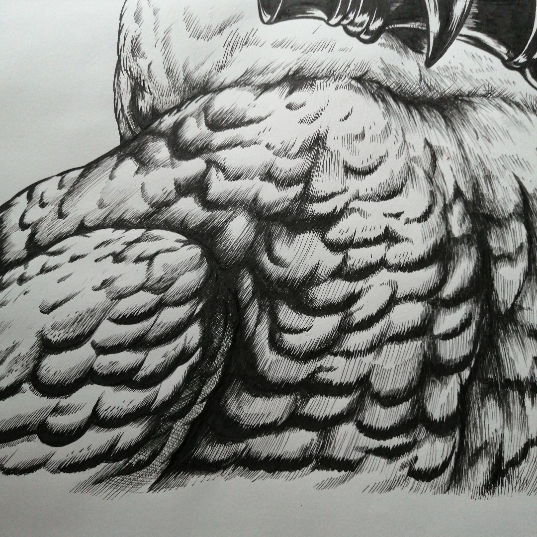 B4原画 crow