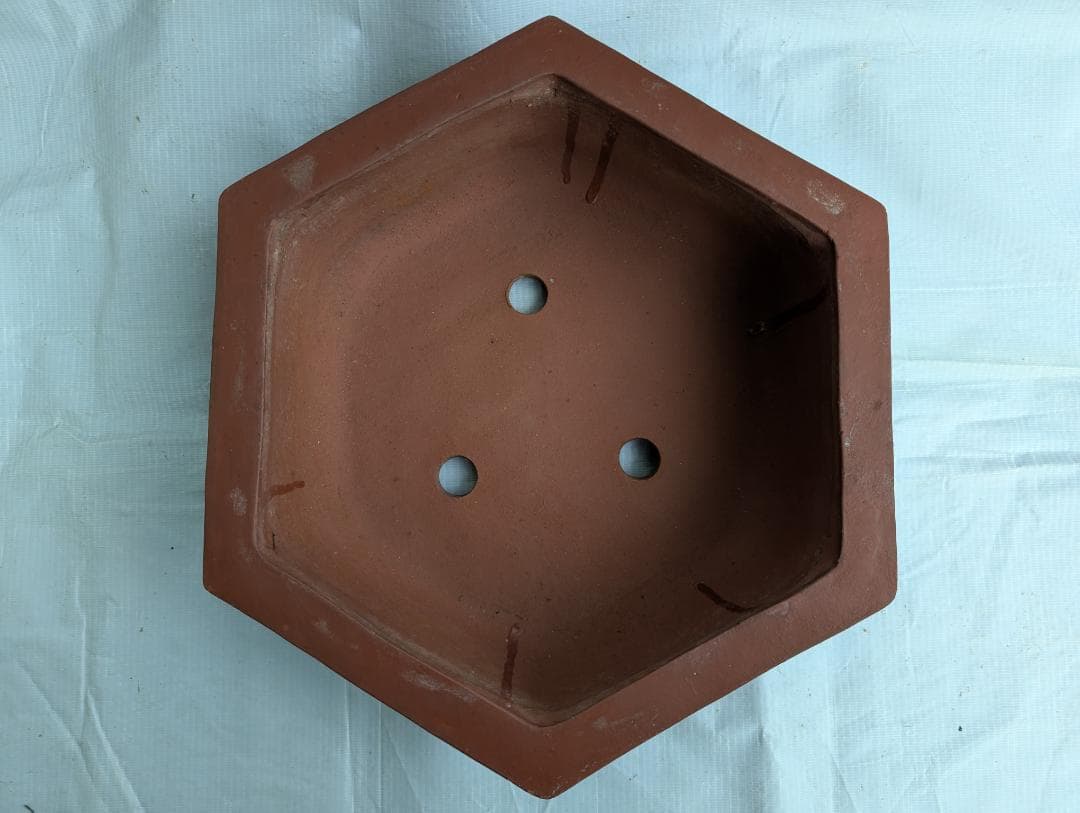 盆栽鉢 六角鉢 外寸30×33.5cm 高さ11.5cm 中国鉢 朱泥
