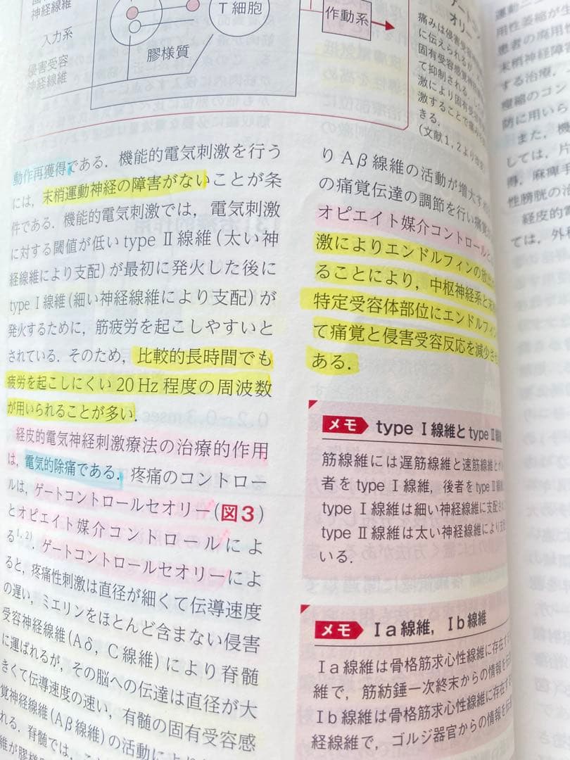 図解 鍼灸療法 技術ガイド I 第2版