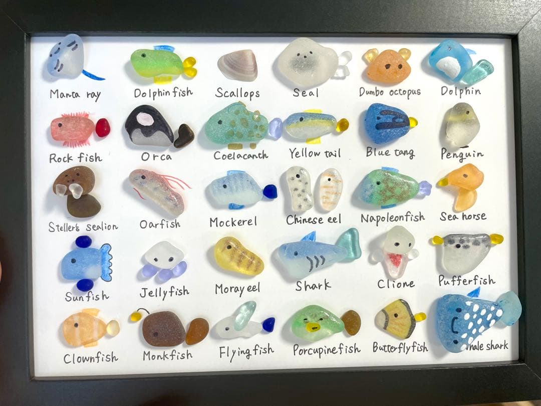 シーグラスアート☆No.399 図鑑　海の生き物　ギフト　プレゼント インテリア