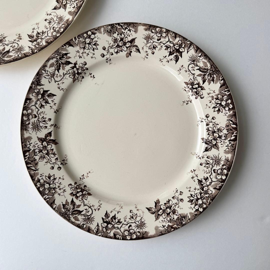 フランスアンティーク　サルグミンヌ　ALPHAND ディナープレート 2枚セット