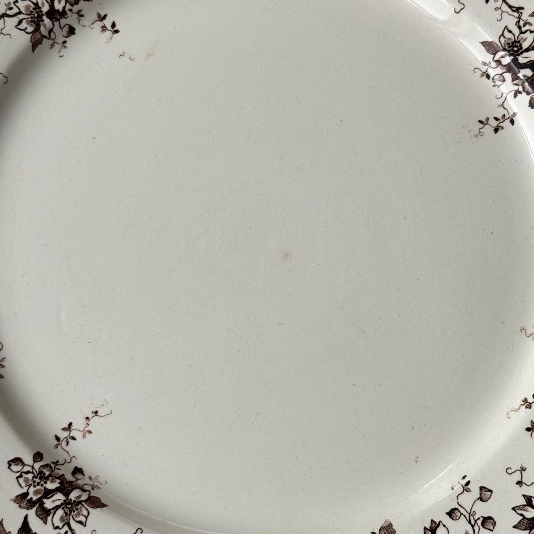 フランスアンティーク　サルグミンヌ　ALPHAND ディナープレート 2枚セット