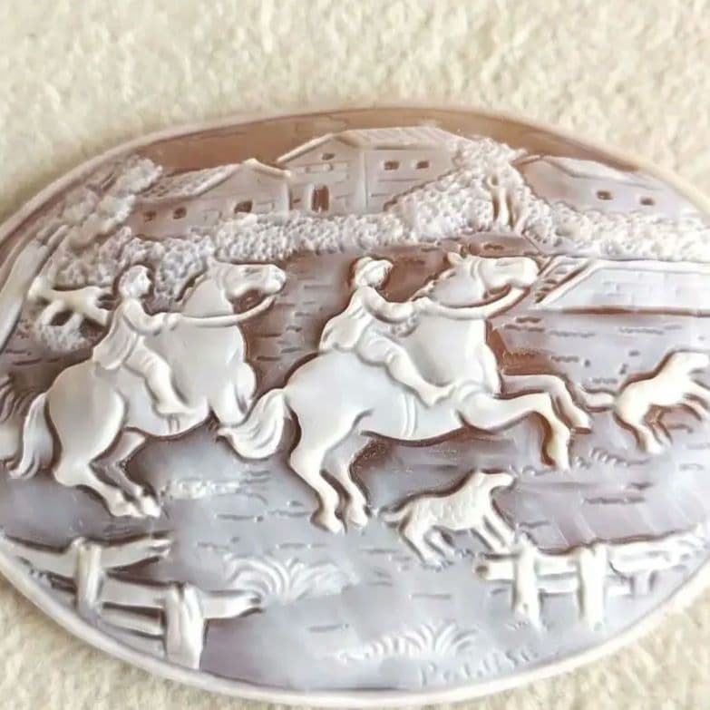 農場　シェル　カメオ　ルース