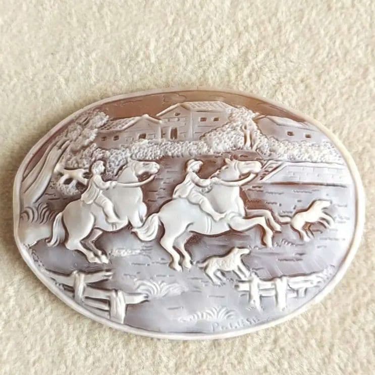 農場　シェル　カメオ　ルース