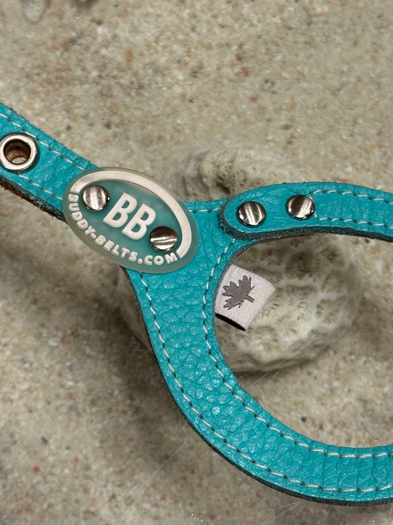 BB バディーベルト　ロビンズエッグブルー 2号
