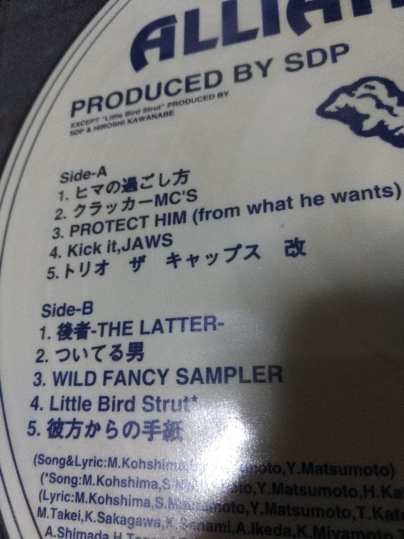 スチャダラパーWILD FANCY ALLIANCE アナログレア廃品