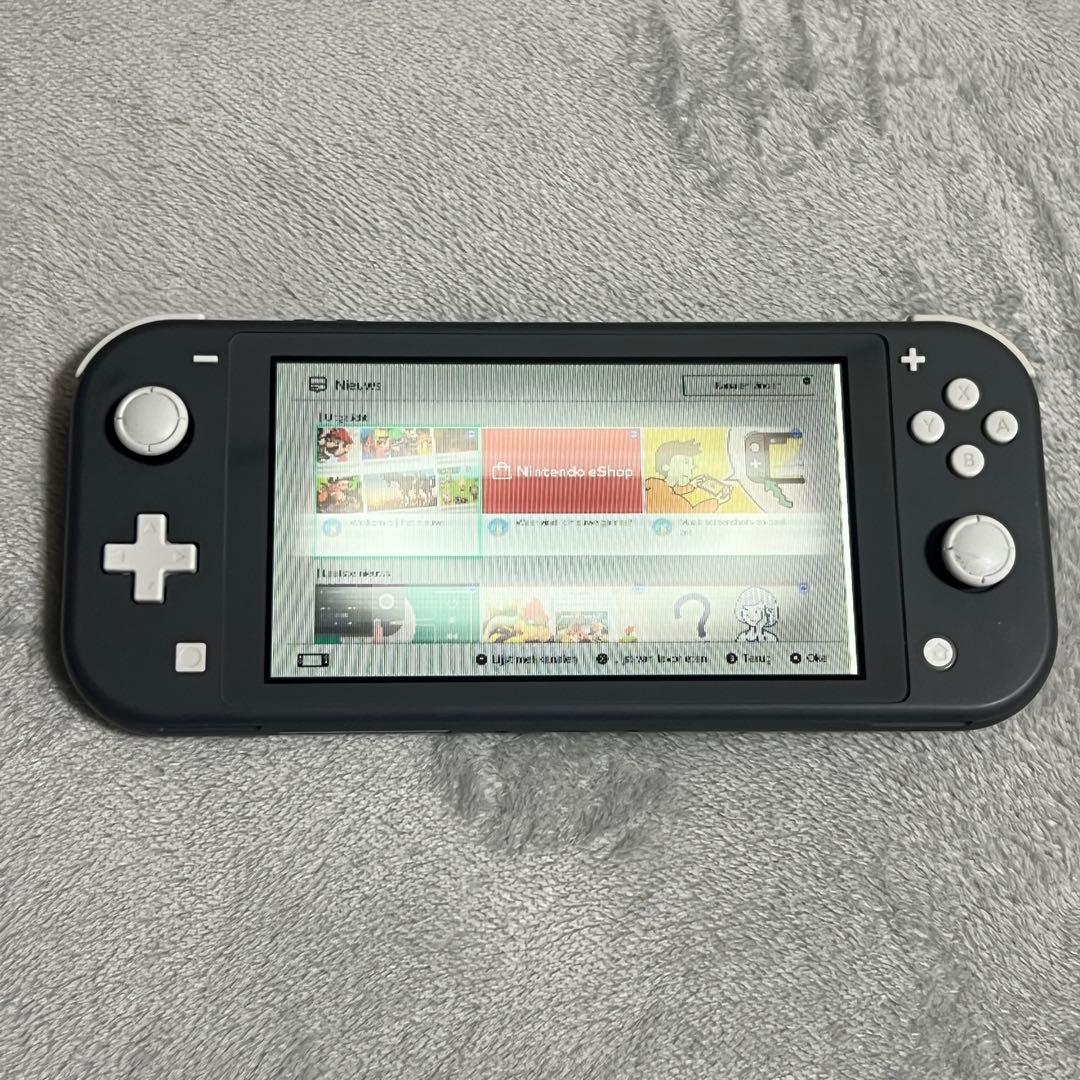 d*3様 【ジャンク】Nintendo Switch Lite グレー 本体のみ