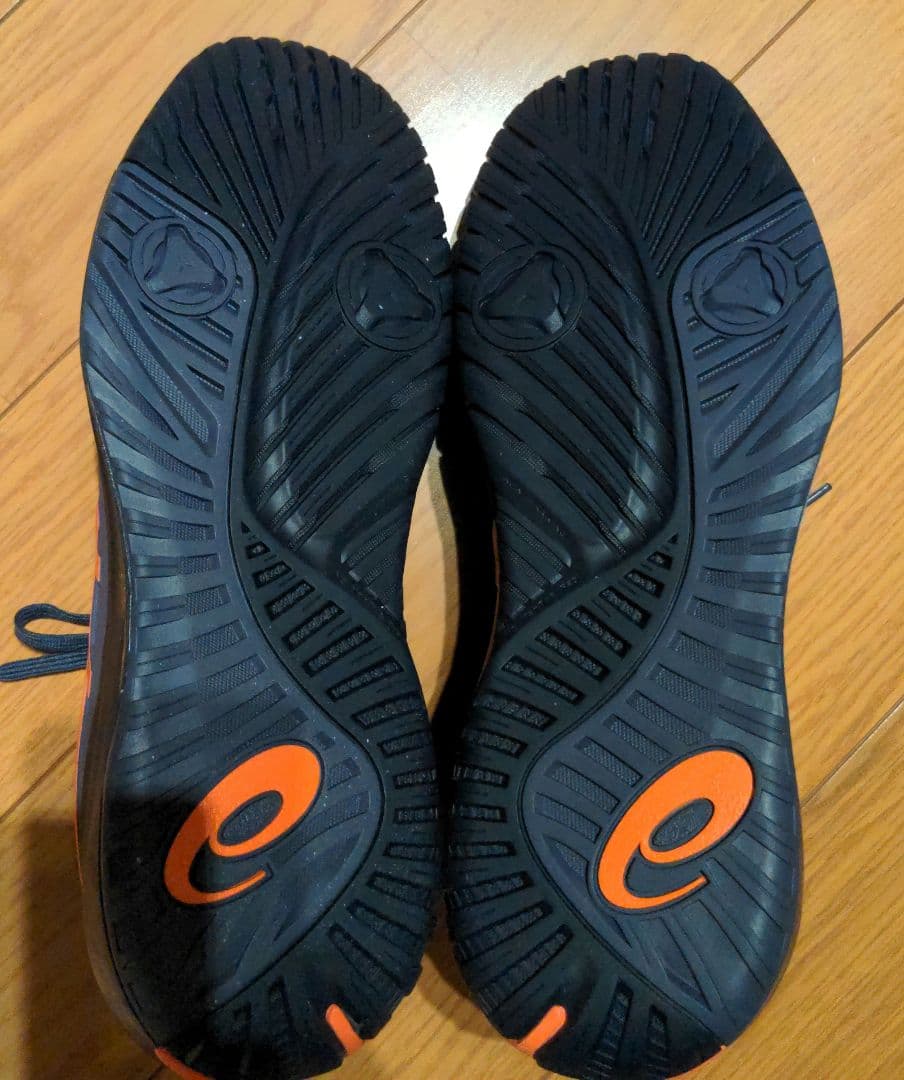 GEL-RESOLUTION X（オールコート）29.0 cm